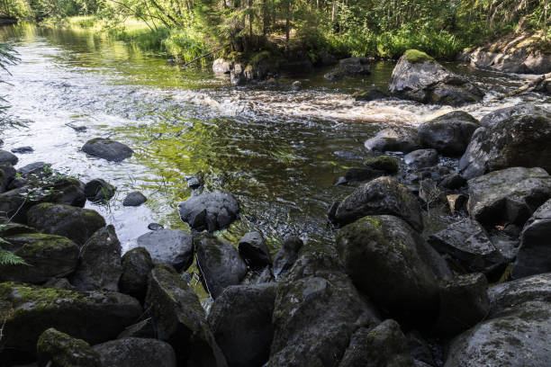 istock Karelian landscape with wet black rocks at the river coast 2193270707