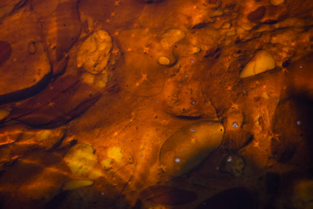 Amber beads lined on black background