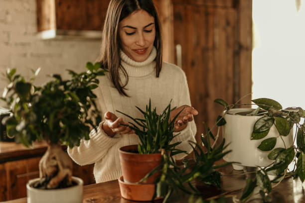 istock Woman checking leaves on plants 2193271701