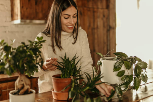 istock Woman checking leaves on plants 2193271706