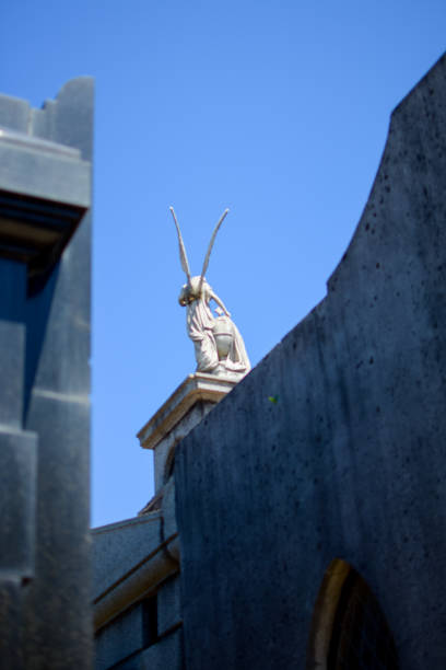 Located in the Historic Center of the city of San Salvador, where the remains of connoted characters of Salvadoran society rest. The enclosure is considered a real sculptural landmark because of the wealth of pieces it has, some already damaged by the passage of time.