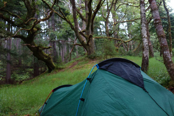 istock Tent in the woods 2193273706