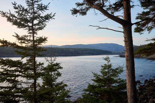 istock The Maine Coastline at Evening 2193278389