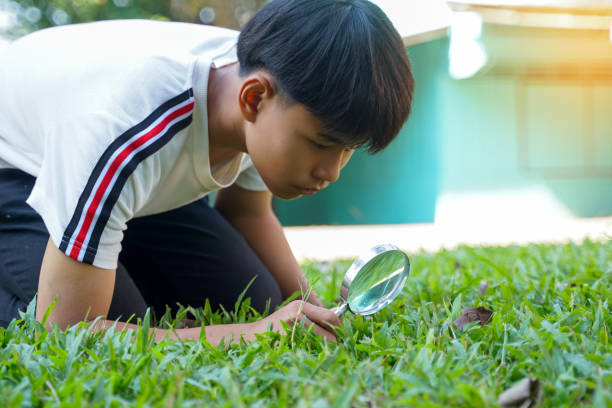 istock Thai boy explores the terrestrial ecosystem using a magnifying glass to look at creatures living on the grass. 2193278776