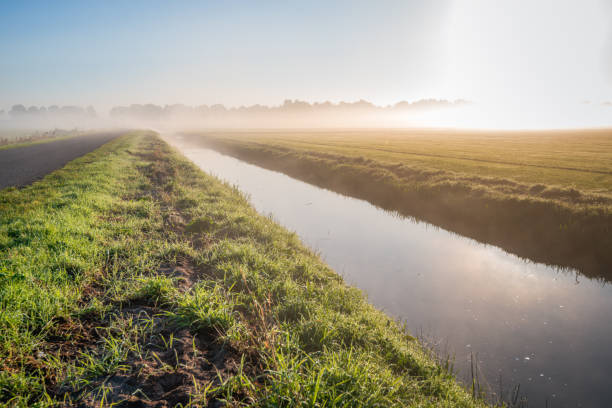 istock Dutch polder on an early misty morning 2193279270