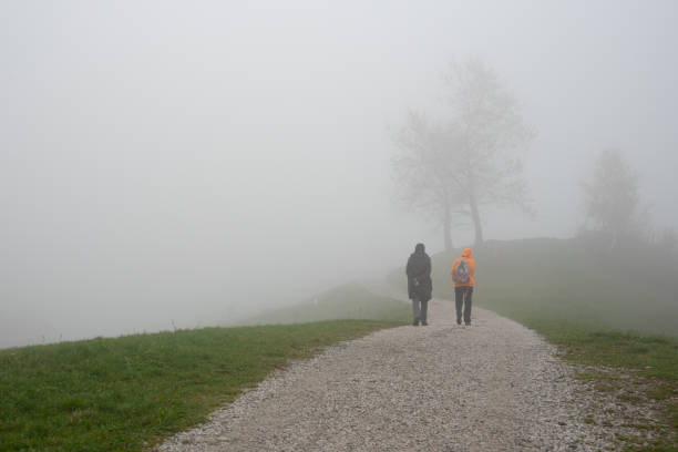 Hiker walking down a foggy country road near bare trees on a misty autumn day