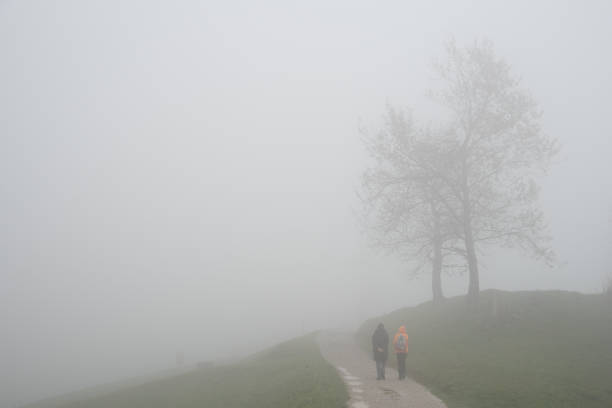 Hiker walking down a foggy country road near bare trees on a misty autumn day