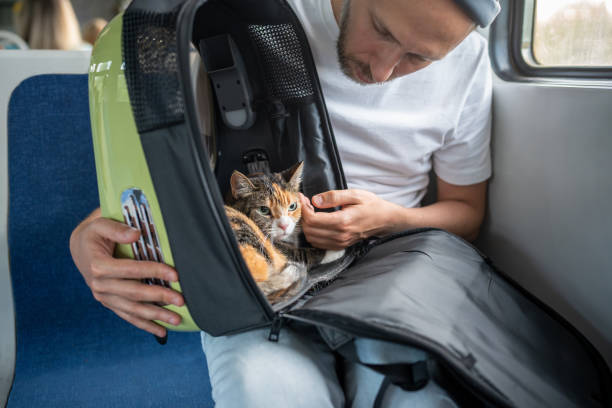 istock Man check cat comfort in travel friendly pet backpack on train journey. Stressed animal in carrier 2193281790
