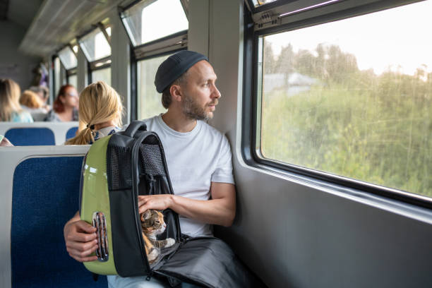istock Thoughtful man owner calming stroking cat in pet backpack while look out window on train. Pet safety 2193281791