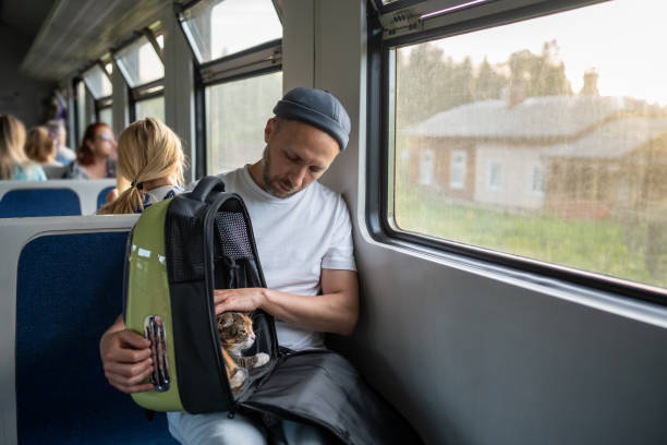 istock Man check cat comfort in travel friendly pet backpack on train journey. Stressed animal in carrier 2193281801