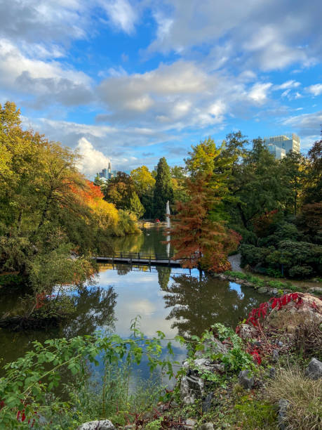 istock Autumn view in botanic garden 2193287161