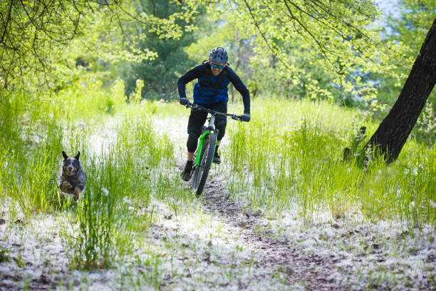istock Mountain Bike Dog Ride Fun 2193287314