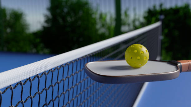 istock A paddle and ball at the net, showcasing a moment in a pickleball game. 3d rendering 2193290676