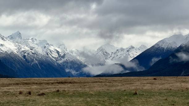 istock New Zealand 2193291618