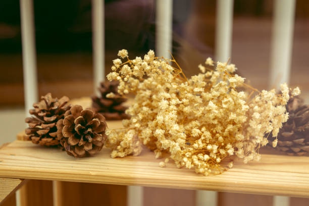 Dried Flowers and Pine Cones on Wooden Surface