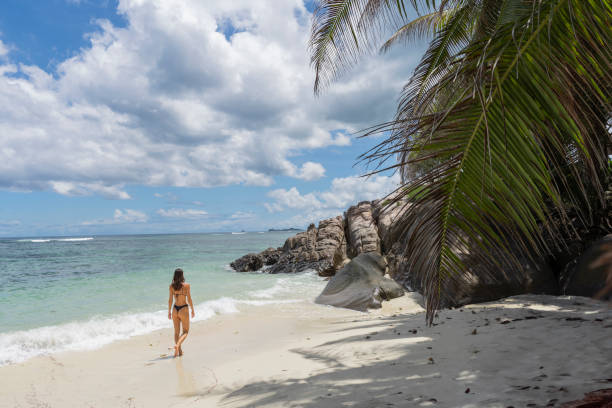 istock Young woman on tropical beach below palm trees 2193295813