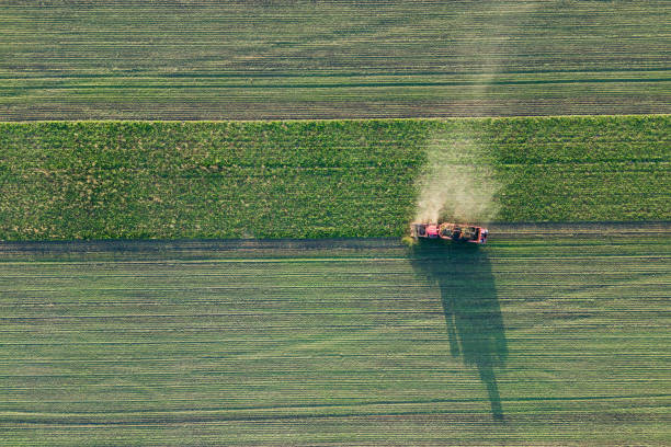 istock Sugar beet harvesting with a modern combine harvester on agricultural field 2193305939