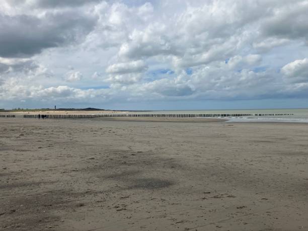 istock Spring on the North Sea coast in Zeeland 2193309646