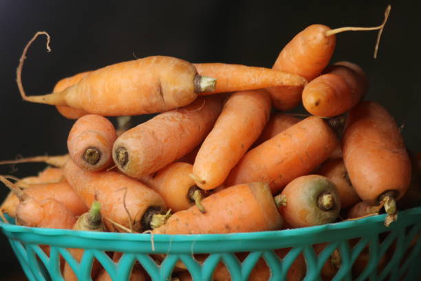 Close up view of fresh carrots in a green basket
