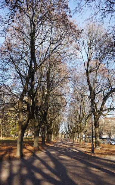 istock Autumn leaves and pathway in Oslo Park 2193317565