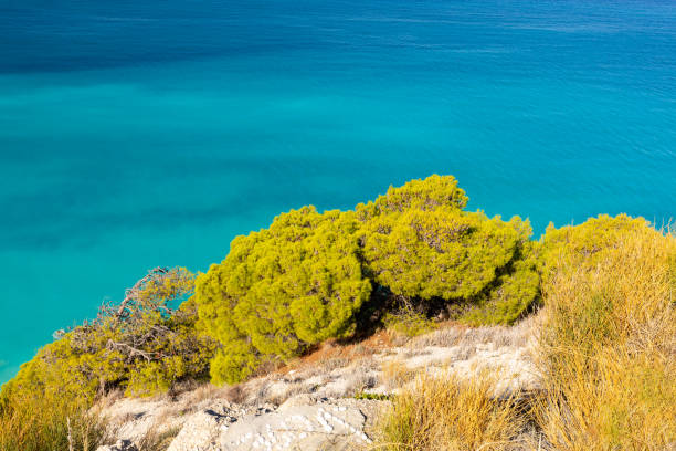 istock Summer landscape with a sandy beach next to a high cliff 2193321194