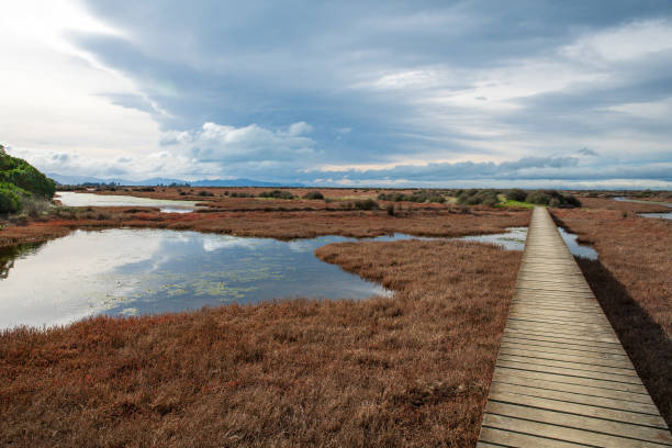 istock Te beauty surrounding the sewage ponds 2193322732
