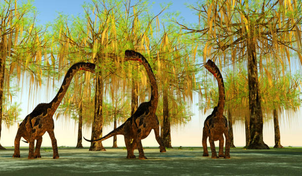 istock Europasaurus European Dinosaurs 2193326453