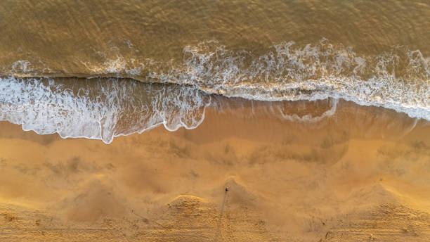 istock Top down drone aerial view of a beach in Spain during sunrise 2193330265