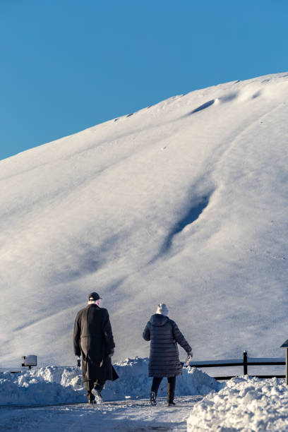 Gamla Uppsala, Sweden Nov 22, 2024 People walking amidst the snow-covered Royal Mounds dating back to Vendel period (550 - 800 AD) of the Viking Age.