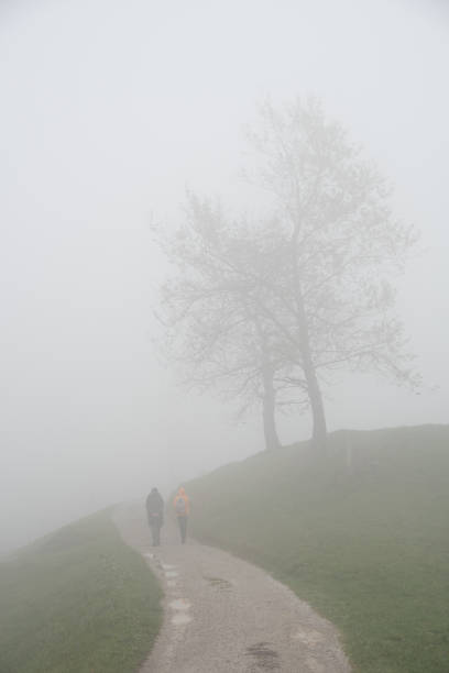 istock Hikers walking and chatting on a foggy path near bare trees 2193331305