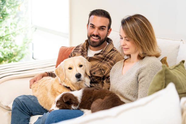 istock Couple with their dogs at home 2193337478
