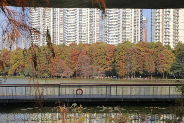 istock A bridge over a lake with a large building in the background 2193340245