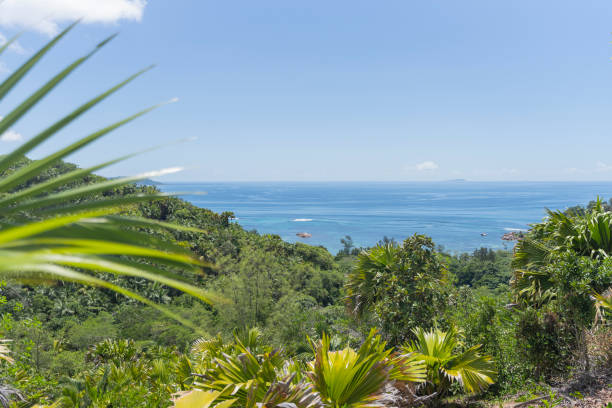 View across jungle to sea from top of island, Moyenne Island, Seychelles