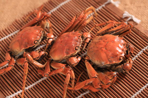 istock Hairy crab, Chinese delicacy 2193343310