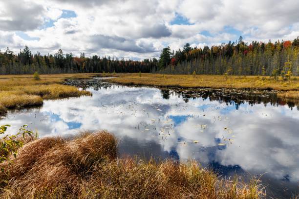 istock Autumn pond reflection in scenic landscape. 2193344010