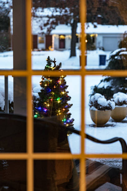 istock Looking Through Cozy Home Window at Illuminated Outdoor Christmas Tree 2193346817