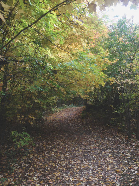istock Earl Bales Park, North York, Toronto 2193347023