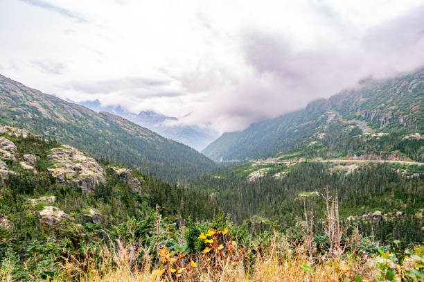 View of the mountains in Alaska