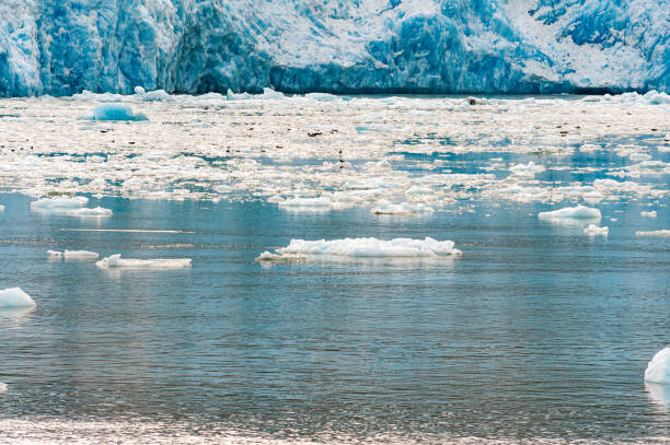 View of ice and glaciers in Alaska