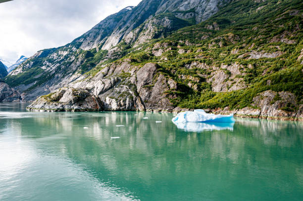 Ice bergs float in the waters of Prince William Sound.  These bergs came from the Columbia Glacier, located near Valdez, Alaska. The ice formations create unique designs.