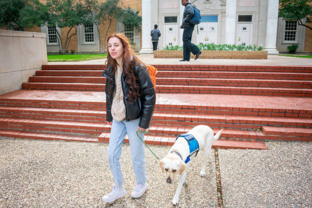 nontraditional student with disability walks across campus with service dog