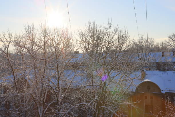 A beautifully serene winter scene showcasing snowcovered trees and a breathtakingly stunning sunrise