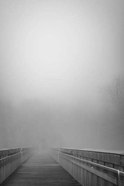 istock A boardwalk disappears into the fog 2193352096