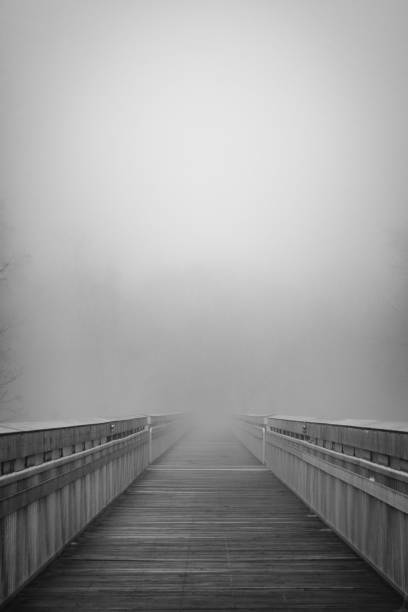 istock A boardwalk disappears into the fog 2193352100