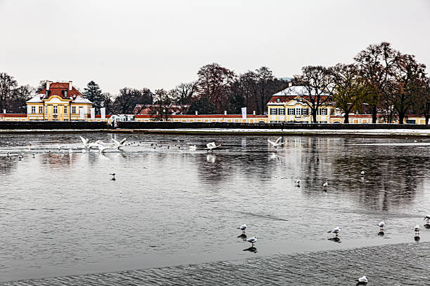 November 28, 2018 - Nymphenburg Palace, Germany: This serene winter view near Nymphenburg Palace showcases a partially frozen lake adorned with swans and seagulls. The historic yellow pavilions contrast with the icy waters, adding warmth to the cold landscape. The delicate interplay between nature and architecture highlights the timeless beauty of Munich’s royal retreat in winter.