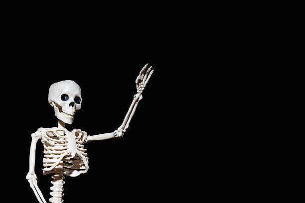 istock Human Skeleton waving greeting hand isolated on black background. Life after death. Hello Halloween 2193355260