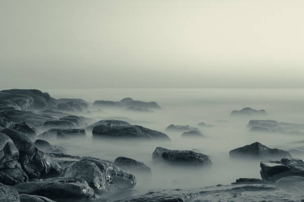 Long exposure of rocks on the coast in the evening