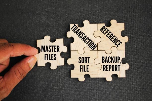 istock What are the 5 types of computer files? Types of Computer Processing Files ie Master files, Transaction, Reference, Backup, report and Sort file 2193364722