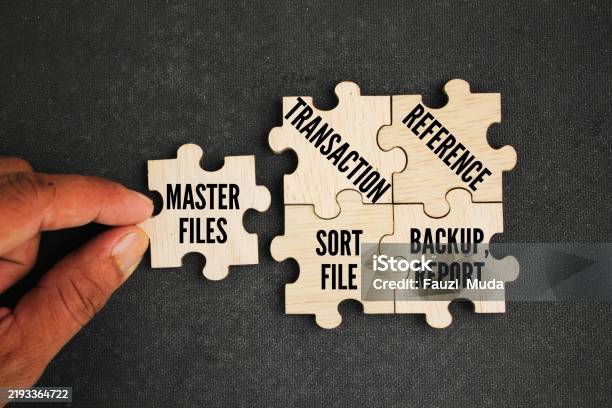 What Are The 5 Types Of Computer Files Types Of Computer Processing ...