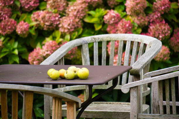Herbststimmung in einem Garten